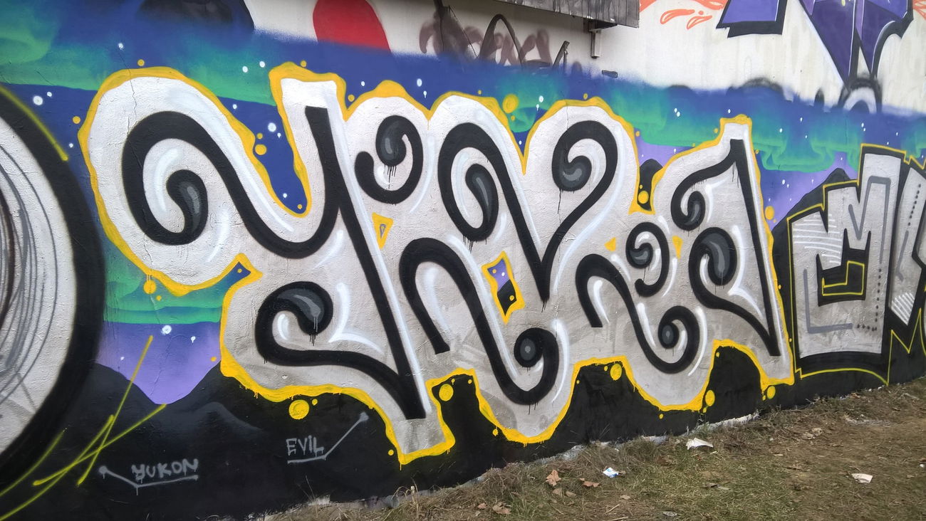 Graffiti Wall - Photo by Savior - evil, yndia, 4 (2016)