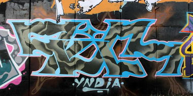 Graffiti Wall - Photo by Savior - evil, yndia (2015)