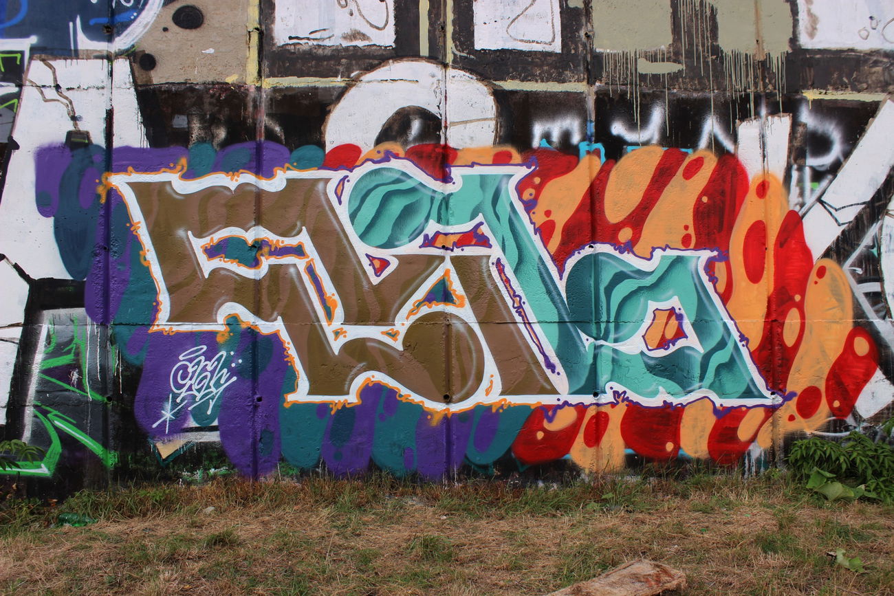 Graffiti Wall - Photo by Savior - yndia, evil (2015)