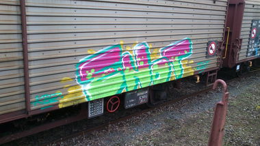 Graffiti Train - Photo by Sayker9 - fr8, enot (2013)