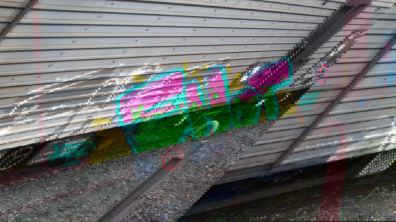 Graffiti Train - Photo by Sayker9 - fr8, enot (2013)
