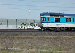 Photo #187620 by TagHagel