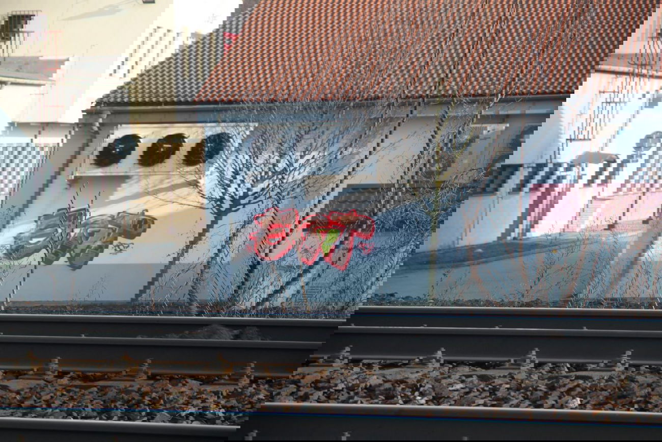 Graffiti Bombing - Photo by Sayker9 (2013)