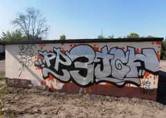 Photo #130319 by Rip