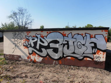 Graffiti Bombing - Photo by Sayks1 - P.p.3, feat, TgF