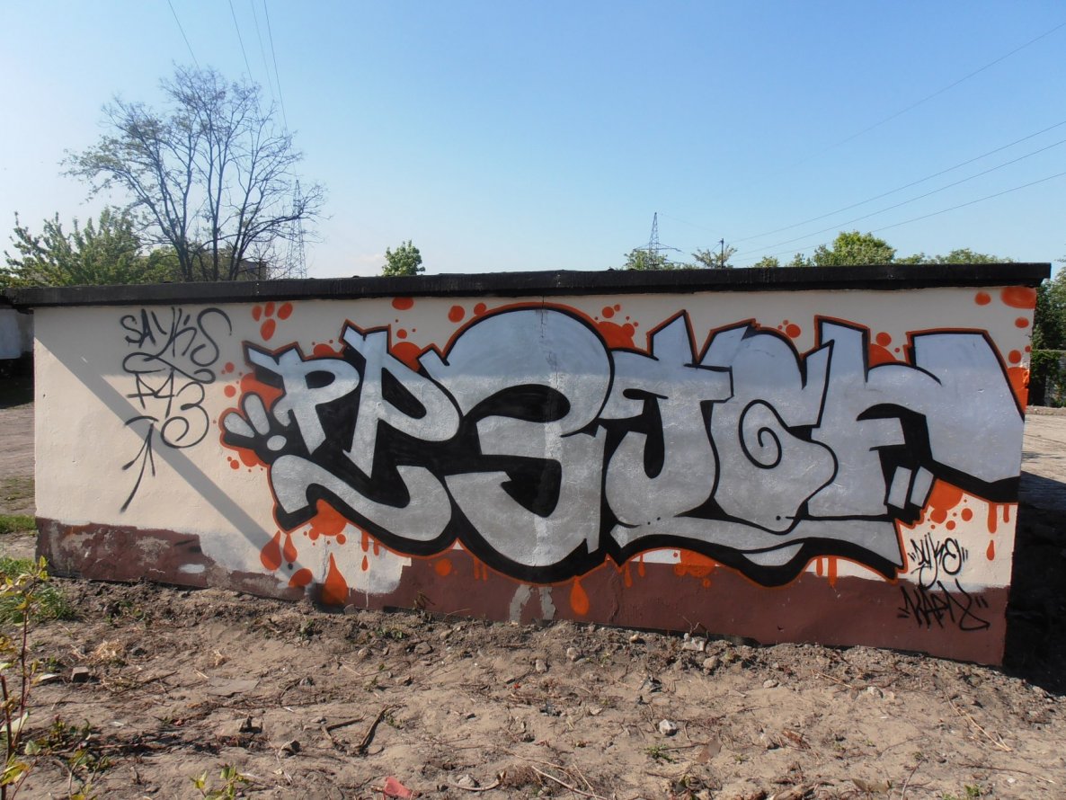 Graffiti Bombing - Photo by Sayks1 - P.p.3, feat, TgF