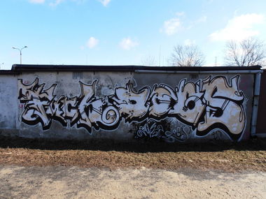 Graffiti Wall - Photo by Sayks1 - Fuck, dog''s, C.B