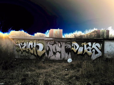 Graffiti Bombing - Photo by Sayks1 - fuck, Dog''S
