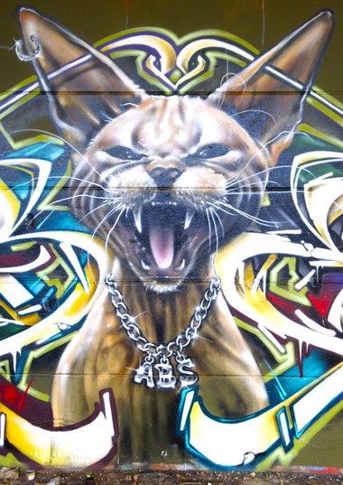 Graffiti Wall - Photo by Sbecky