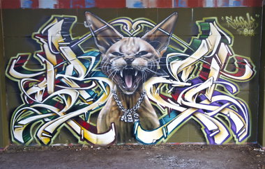 Graffiti Wall - Photo by Sbecky