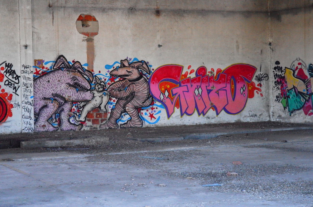 Graffiti Wall - Photo by Scalp64