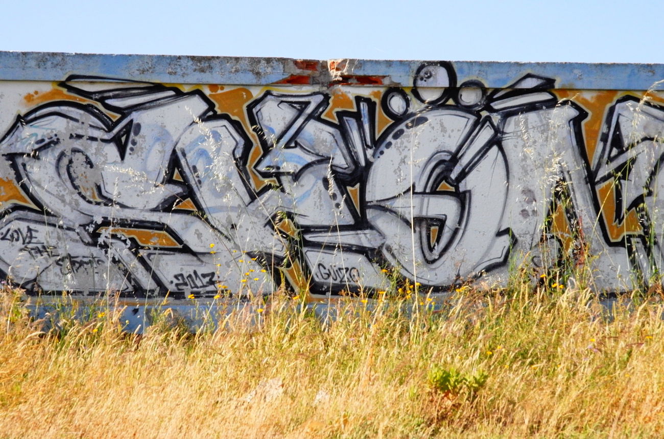 Graffiti Wall in Montijo e afonsoeiro - Photo by Scalp64