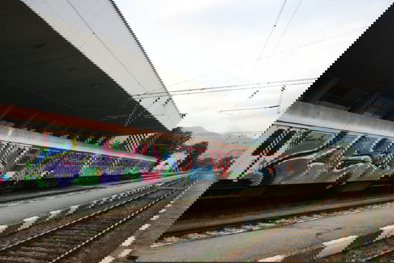 Graffiti Train - Photo by Scape - scape, uger, osm (2010)