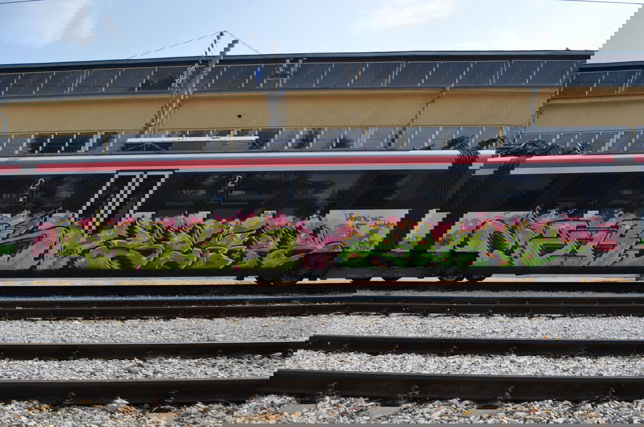 Graffiti Train - Photo by Scape - Scape, OSM, OSMC (2012)