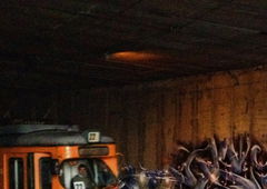 Photo #139766 by FITW