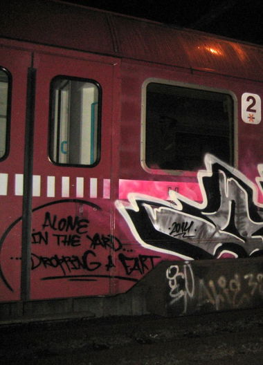 Graffiti Train - Photo by Scape - osmc (2014)