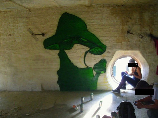 Graffiti Wall - Photo by Scarecrow - Mushroom (2013)