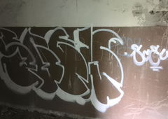 Photo #207645 by zwolli