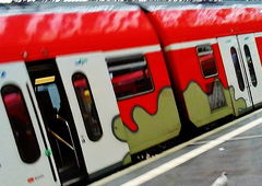 Graffiti Train - Photo by Schandiztat