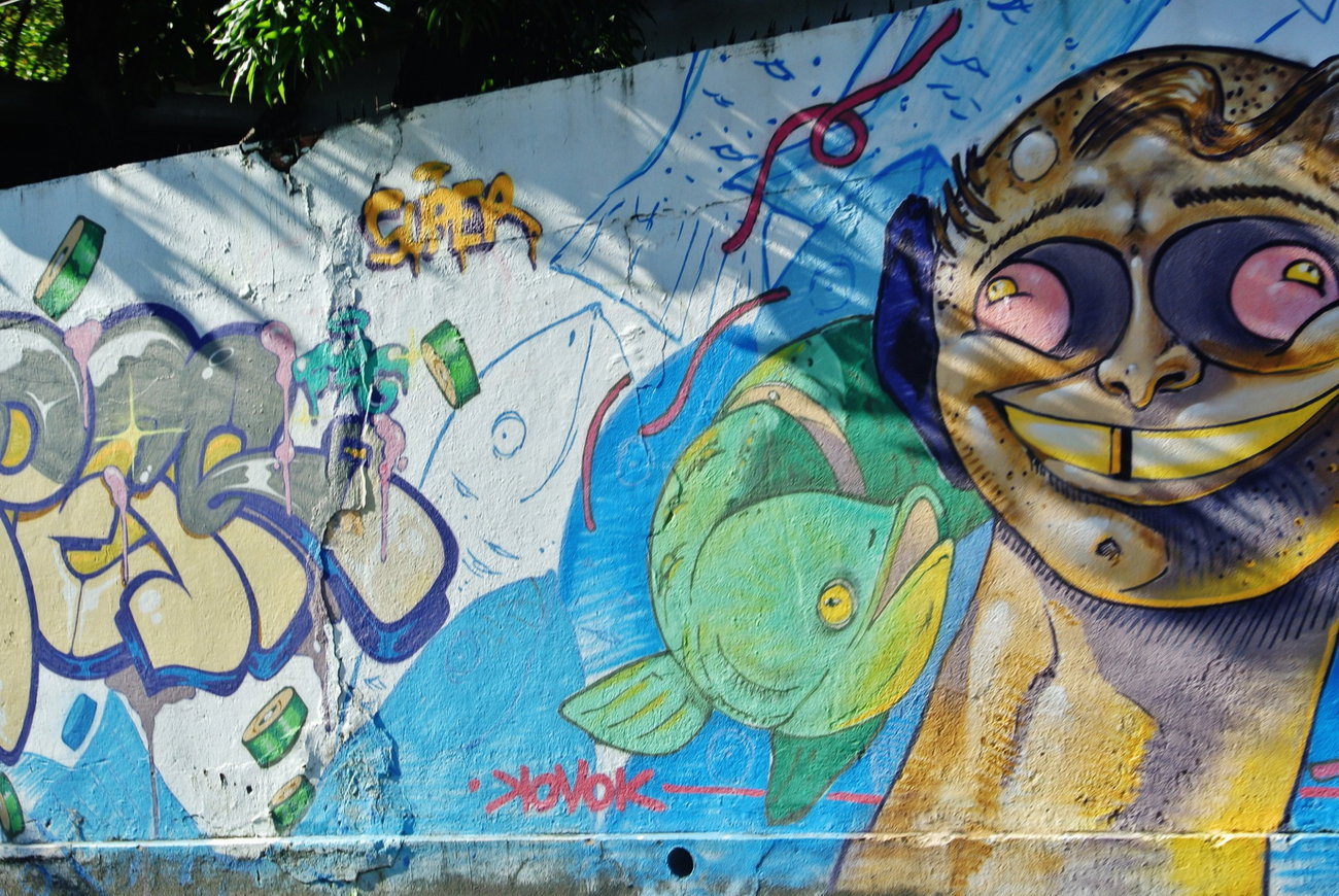 Graffiti Wall - Photo by Schandiztat - brasil, recife