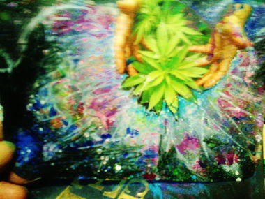 Graffiti Wall - Photo by Schandiztat