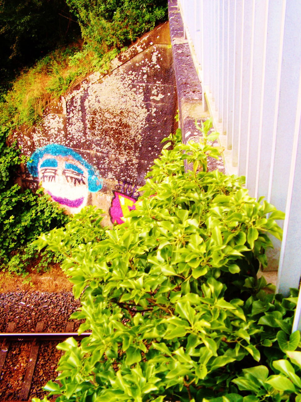 Graffiti Street Art - Photo by Schandiztat - smile, face