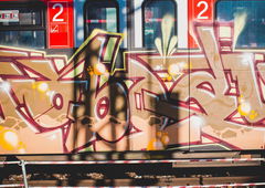 Graffiti Train - Photo by Schandiztat