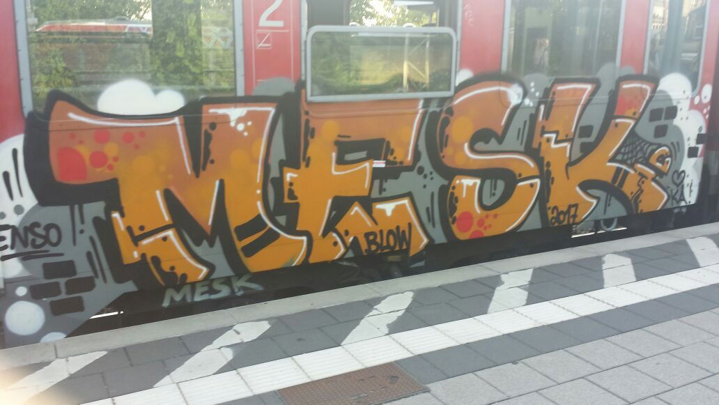 Graffiti Train - Photo by Schandiztat