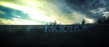 Graffiti Wall - Photo by Schlafmuetze