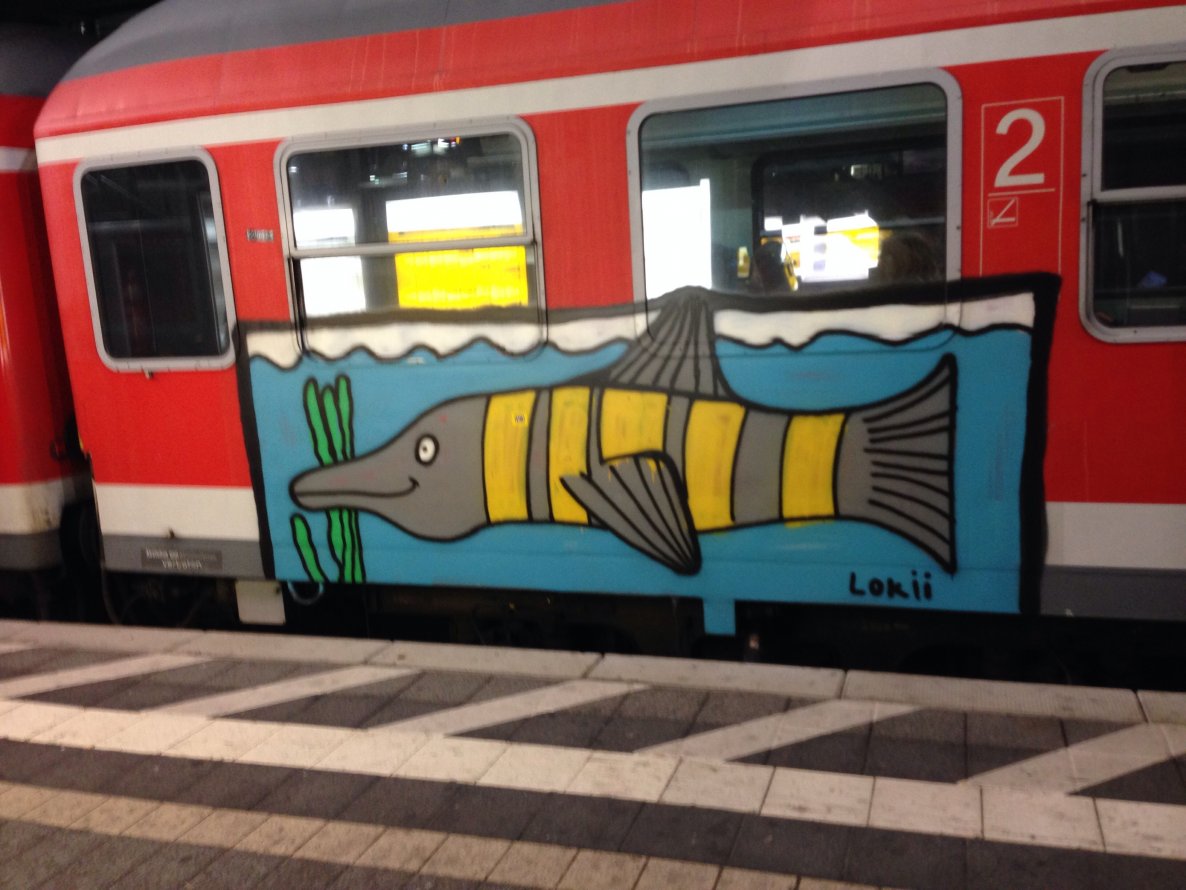 Graffiti Train - Photo by Schlafmuetze