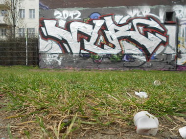 Graffiti Bombing - Photo by Schmierfink030 - VLR (2012)