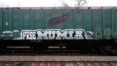 Graffiti Train - Photo by Schmierfink030 - FREE, MUMIA