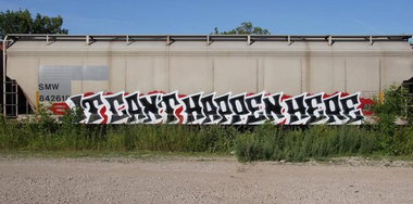 Graffiti Train - Photo by Schmierfink030 - it, cant, happen