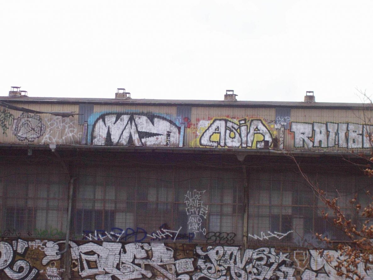 Graffiti Bombing in Berlin - Photo by Schmierfink030 - why, asia, rambo