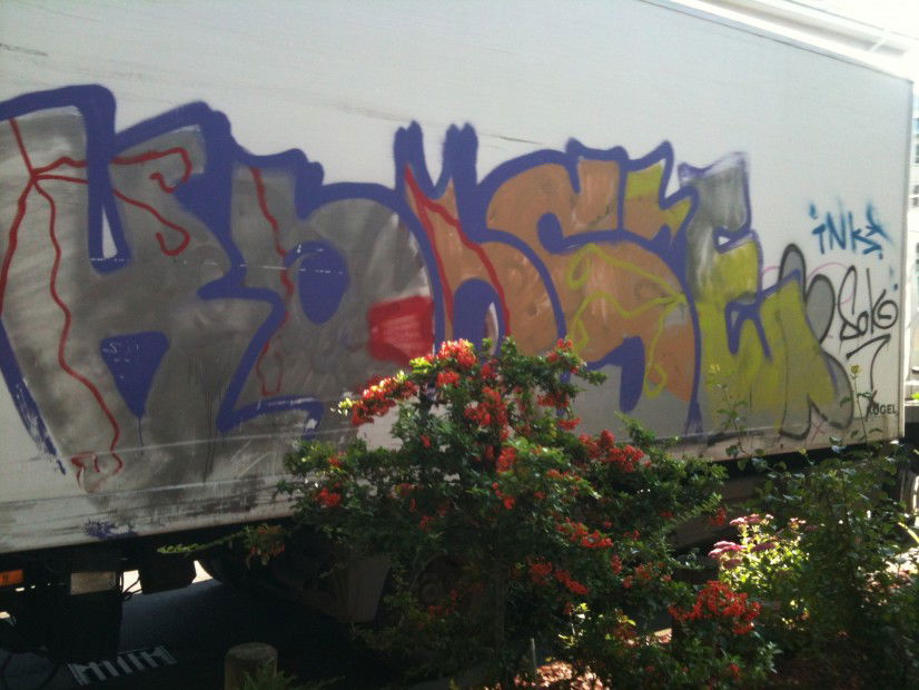 Graffiti Bombing - Photo by Schokofliege