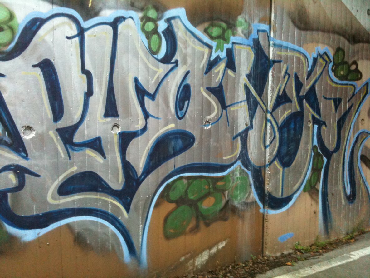 Graffiti Bombing in Köln - Photo by Schokofliege - Pyoner