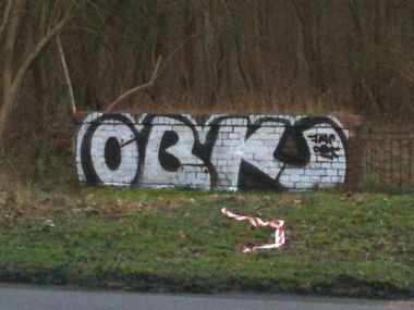 Graffiti Bombing - Photo by Schokofliege - OBK