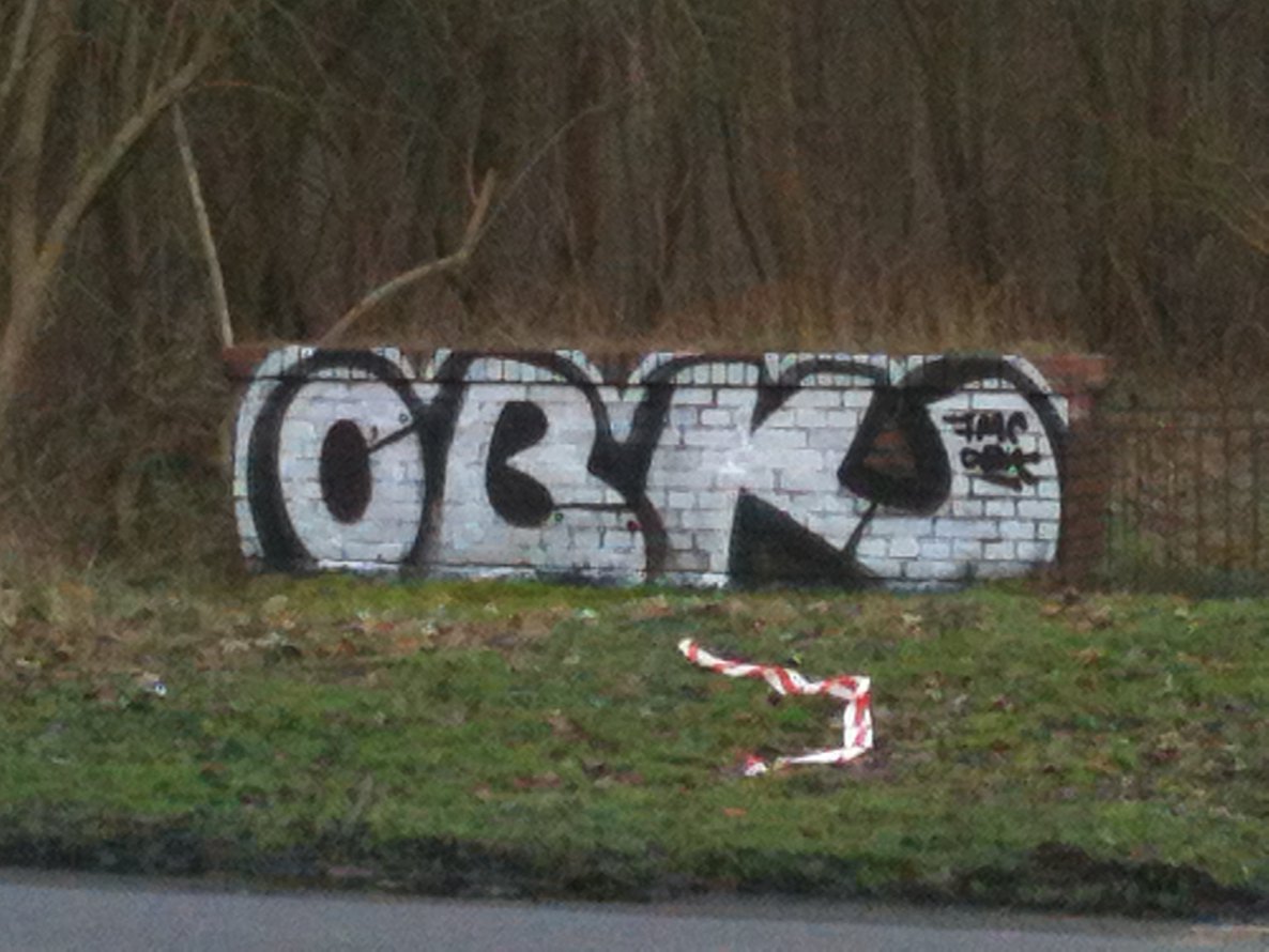 Graffiti Bombing - Photo by Schokofliege - OBK
