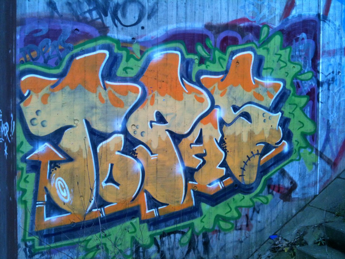 Graffiti Bombing - Photo by Schokofliege - TOPAS