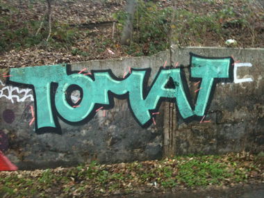 Graffiti Bombing - Photo by Schokofliege - TOMAT