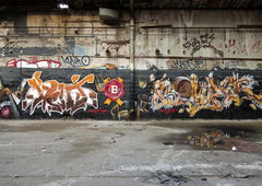 Photo #49668 by Tank069