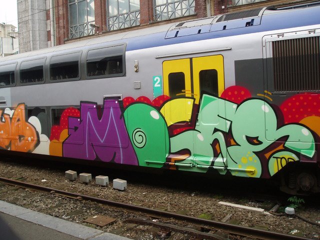Graffiti Train - Photo by SchwarzerKater - Moses, Train, Panel