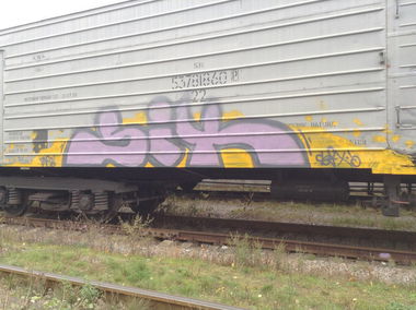 Graffiti Train - Photo by SeX (2013)