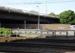 Photo #21152 by whonift