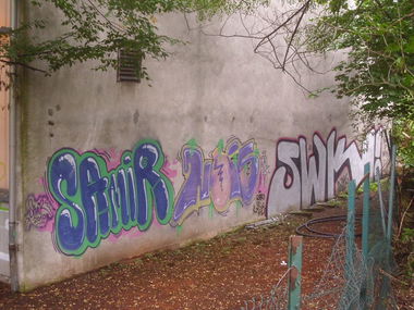 Graffiti Bombing in Karlsruhe - Photo by Searcher - samir, nois, swk (2156)