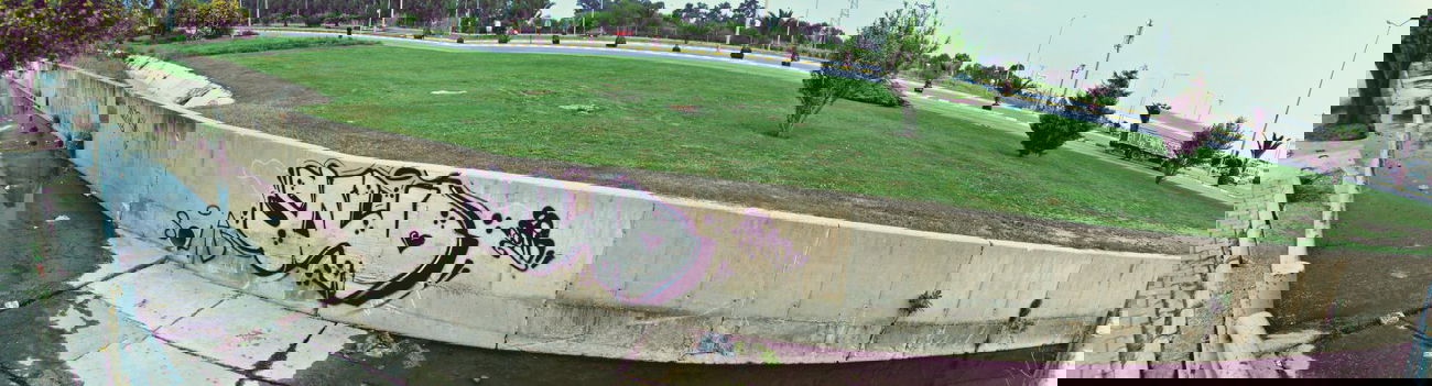 Graffiti Bombing - Photo by Sedonee - Solid