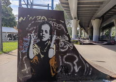 Photo #246325 by rotor