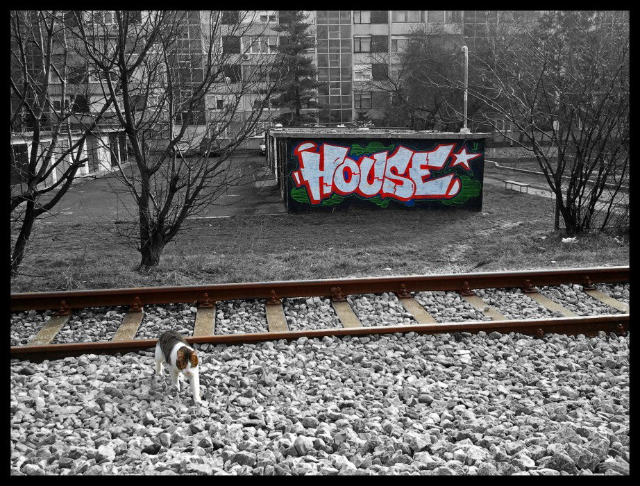 Graffiti Wall in Zagreb - Photo by Seick1 - House, Seick