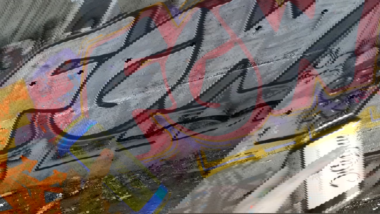 Graffiti Bombing - Photo by Seks - Fgw, crew, seks (2014)