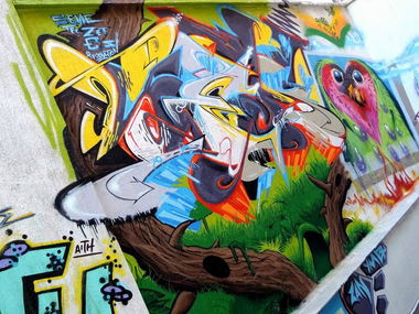 Graffiti Wall - Photo by SemeTFC - seme, tfc, wall (2014)